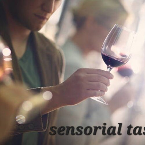 Masterclass Sensoriale