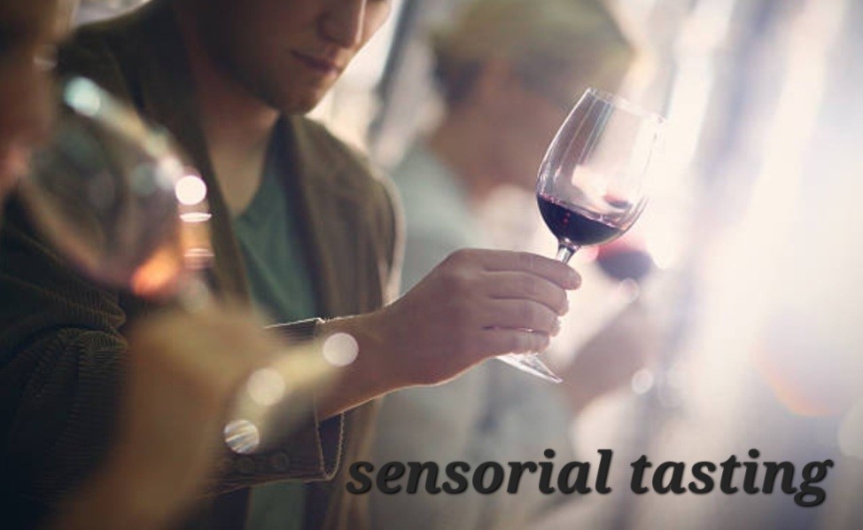 Masterclass Sensoriale