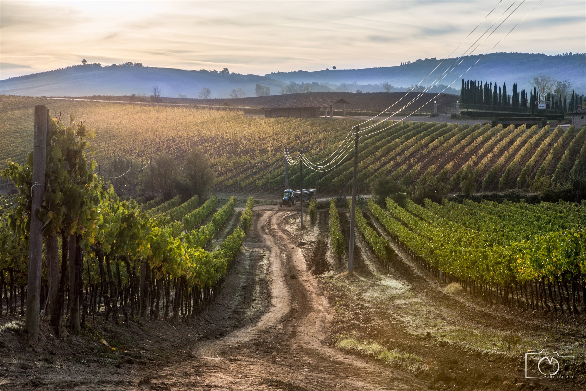 VillaCerna_Vigneto (36)_full