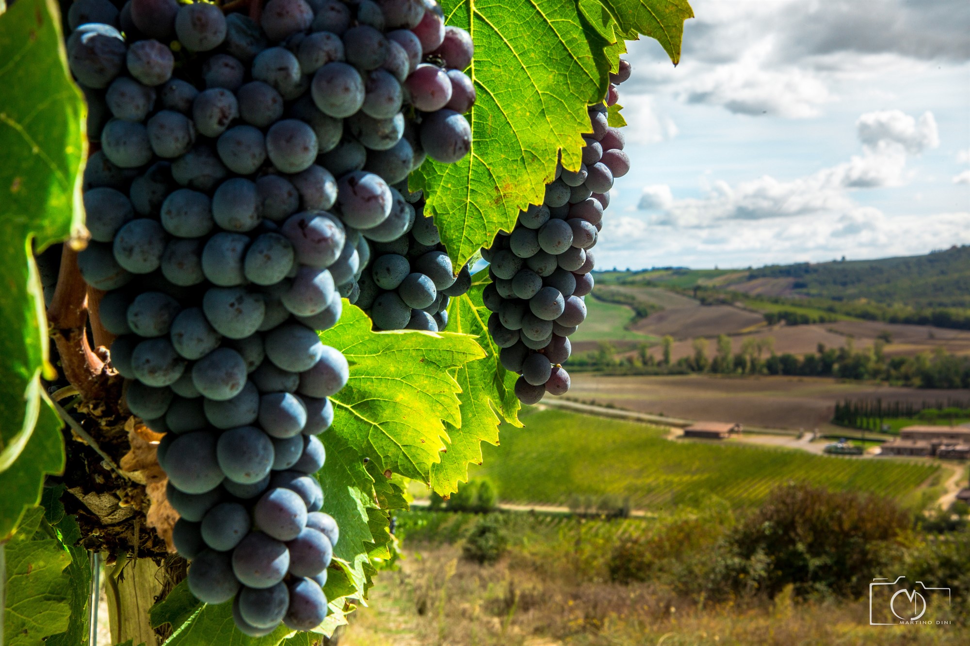 Chianti Classico Tour